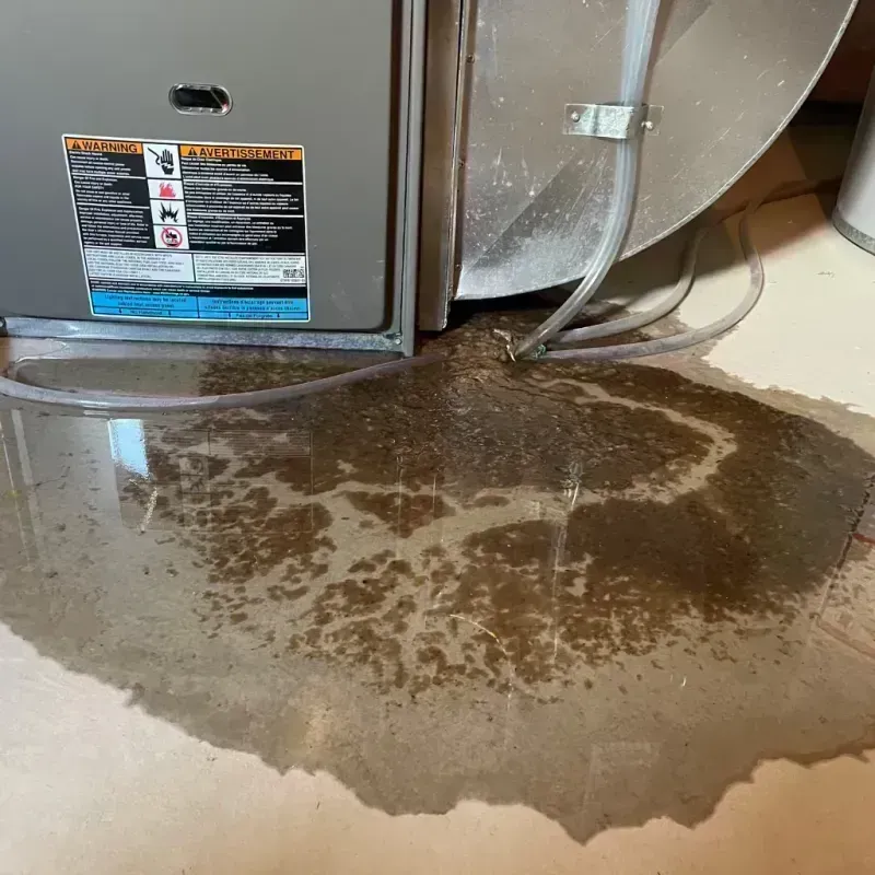 Appliance Leak Cleanup in Palm Valley, FL